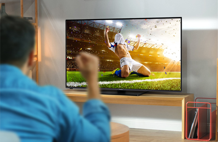 Mann jubelt vor einem Fernseher wo Fußball läuft