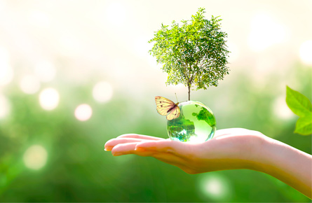 Hand hält eine grüne Kugel mit einem Sprössling mit einer Wiese im Hintergrund