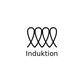 Induktion Logo