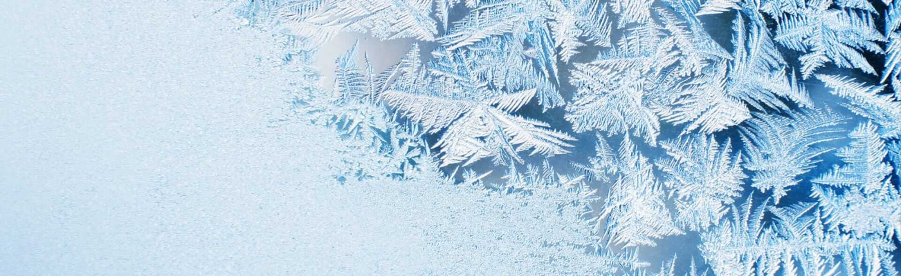 Kopfzeilenbild für die Seite „Nie mehr Abtauen: LowFrost und NoFrost“