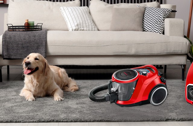 Vorschaubild für den Artikel „ProAnimal Staubsauger mit hygienischer SelfClean Funktion der Serie 6“