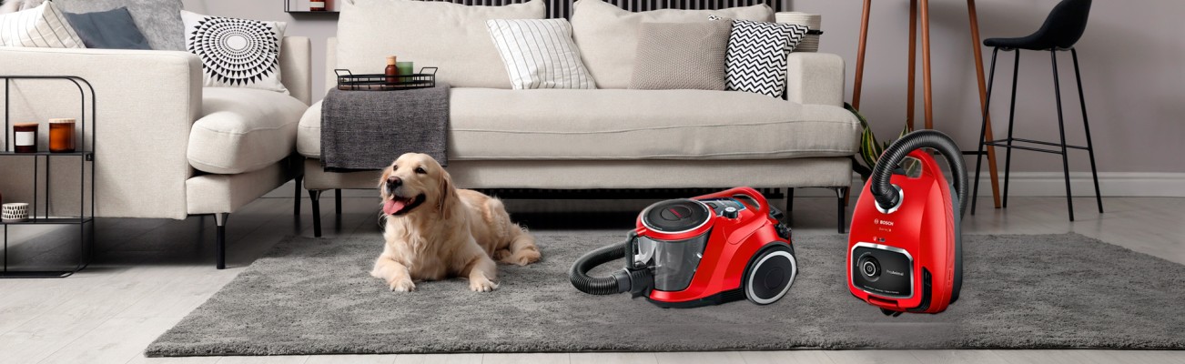 Kopfzeilenbild für die Seite „ProAnimal Staubsauger mit hygienischer SelfClean Funktion der Serie 6“