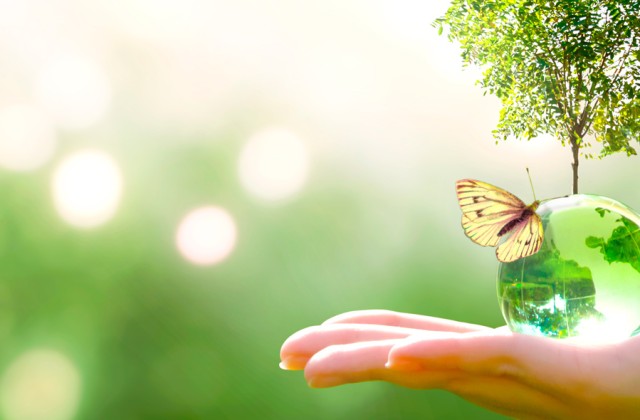 Vorschaubild für den Artikel „Vogel's nachhaltiges Konzept für Mensch und Umwelt“