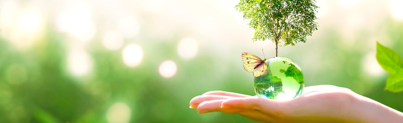 Kopfzeilenbild für die Seite „Vogel's nachhaltiges Konzept für Mensch und Umwelt“