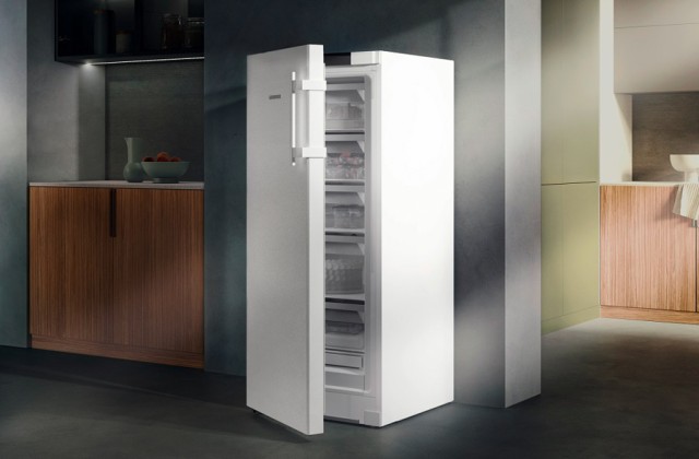 Vorschaubild für den Artikel „Liebherr FNb 4655 Prime NoFrost: Viel Lagerraum, zeitloses Design und smarte Funktionen“